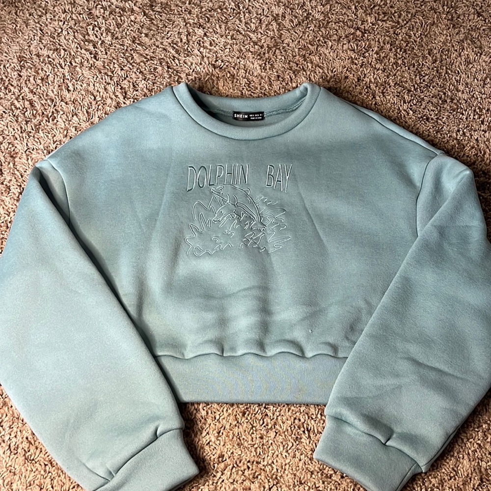 shien cropped embroidered sweatshirt